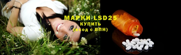 мдпв Елабуга