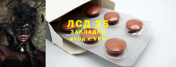 мдпв Елабуга
