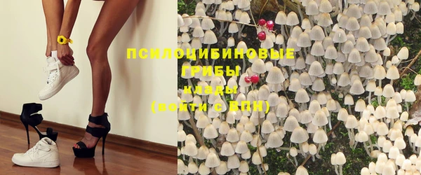 винт Елизово